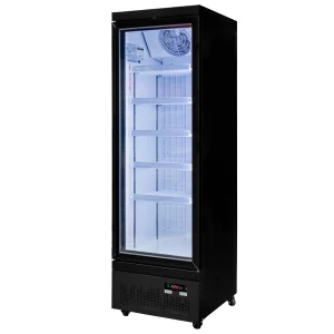 Upright freezer Olaf R62 BLACK